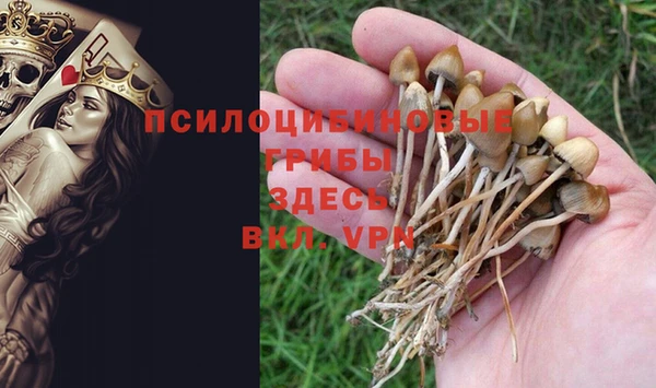 герыч Белокуриха