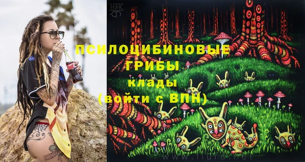 соль ск Ростов